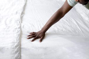 Come riconoscere le cimici da letto